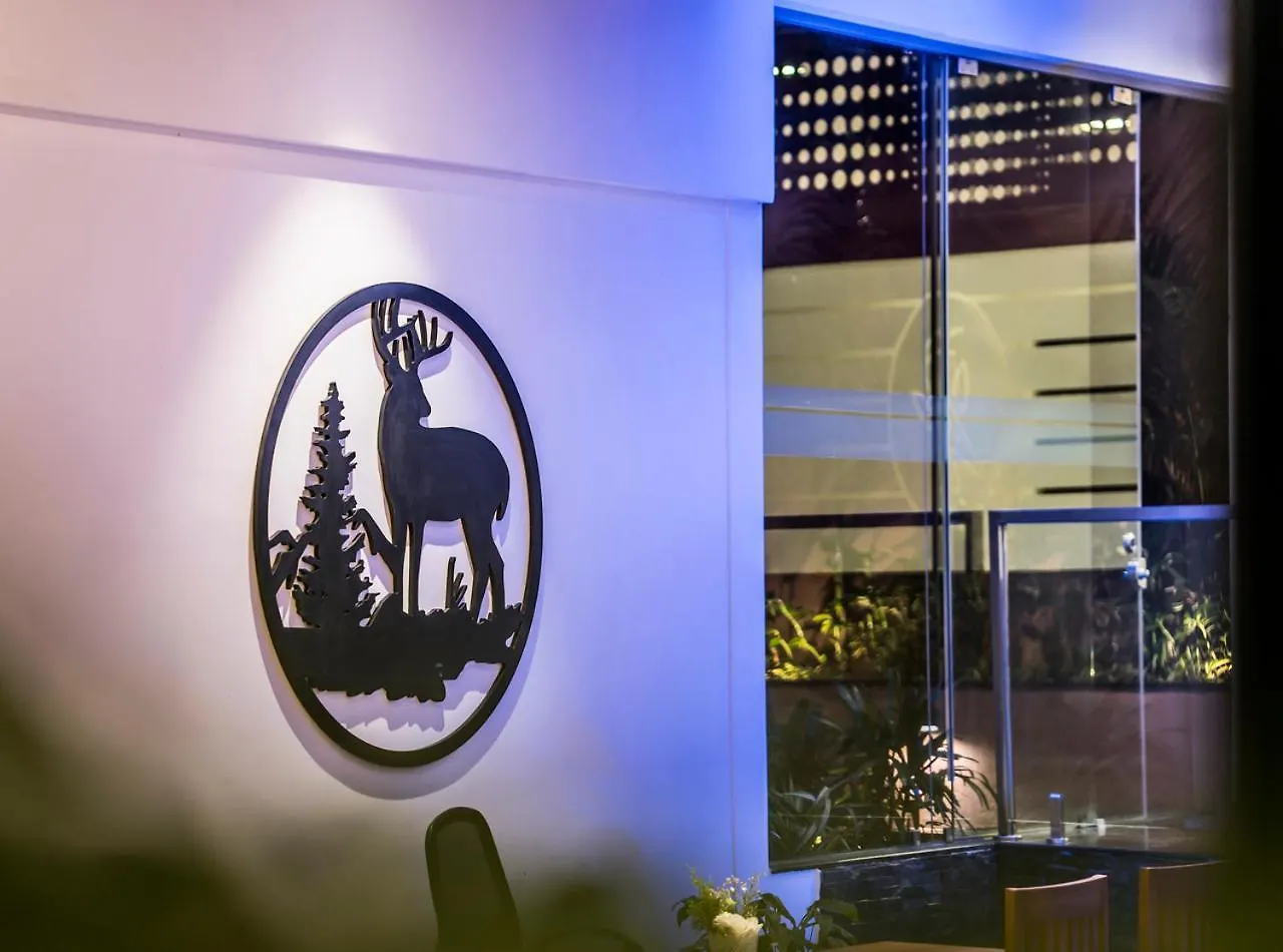 Wild Avenue Resort & Spa 提喀迪